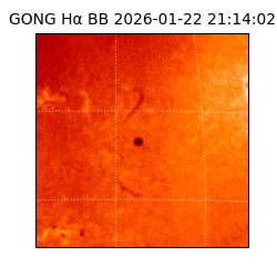gong - 2026-01-22T21:14:02