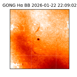 gong - 2026-01-22T22:09:02