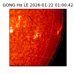 gong - 2026-01-22T01:00:42