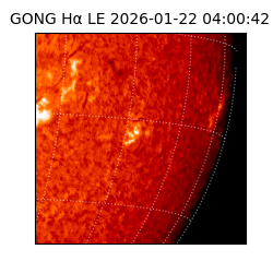gong - 2026-01-22T04:00:42