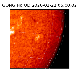 gong - 2026-01-22T05:00:02
