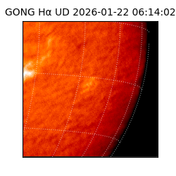 gong - 2026-01-22T06:14:02