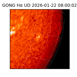 gong - 2026-01-22T08:00:02