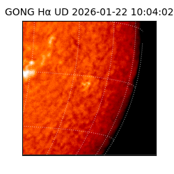 gong - 2026-01-22T10:04:02