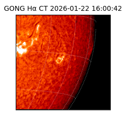 gong - 2026-01-22T16:00:42