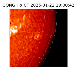 gong - 2026-01-22T19:00:42