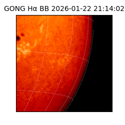 gong - 2026-01-22T21:14:02