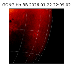gong - 2026-01-22T22:09:02