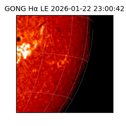 gong - 2026-01-22T23:00:42