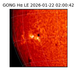 gong - 2026-01-22T02:00:42
