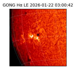 gong - 2026-01-22T03:00:42
