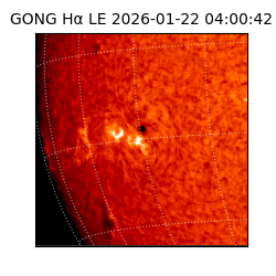 gong - 2026-01-22T04:00:42