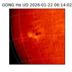 gong - 2026-01-22T06:14:02