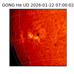 gong - 2026-01-22T07:00:02