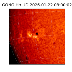 gong - 2026-01-22T08:00:02