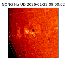 gong - 2026-01-22T09:00:02