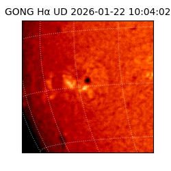 gong - 2026-01-22T10:04:02