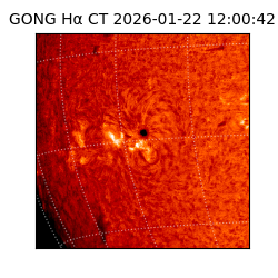 gong - 2026-01-22T12:00:42