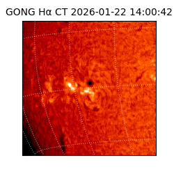 gong - 2026-01-22T14:00:42