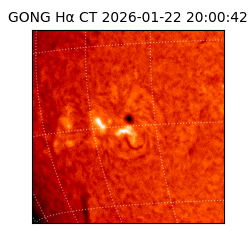 gong - 2026-01-22T20:00:42