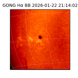 gong - 2026-01-22T21:14:02