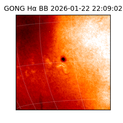 gong - 2026-01-22T22:09:02