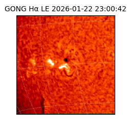 gong - 2026-01-22T23:00:42
