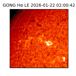 gong - 2026-01-22T02:00:42