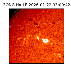 gong - 2026-01-22T03:00:42
