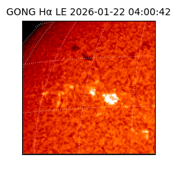 gong - 2026-01-22T04:00:42