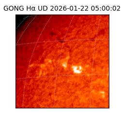 gong - 2026-01-22T05:00:02