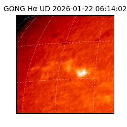 gong - 2026-01-22T06:14:02