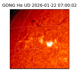 gong - 2026-01-22T07:00:02