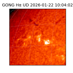 gong - 2026-01-22T10:04:02