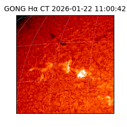 gong - 2026-01-22T11:00:42