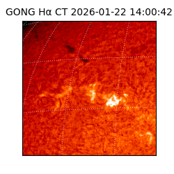 gong - 2026-01-22T14:00:42