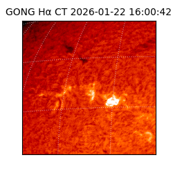 gong - 2026-01-22T16:00:42