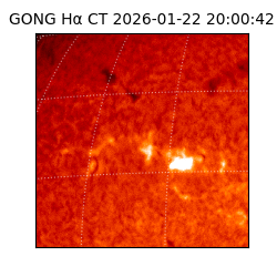 gong - 2026-01-22T20:00:42