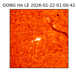 gong - 2026-01-22T01:00:42