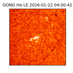 gong - 2026-01-22T04:00:42
