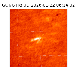 gong - 2026-01-22T06:14:02