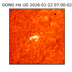 gong - 2026-01-22T07:00:02
