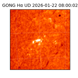 gong - 2026-01-22T08:00:02