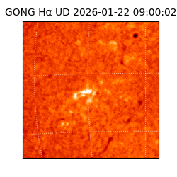 gong - 2026-01-22T09:00:02