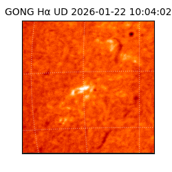 gong - 2026-01-22T10:04:02