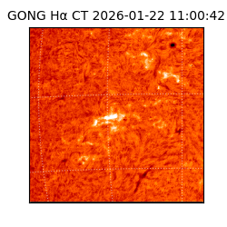 gong - 2026-01-22T11:00:42