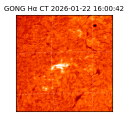 gong - 2026-01-22T16:00:42