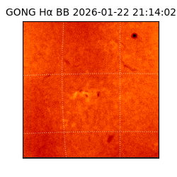gong - 2026-01-22T21:14:02