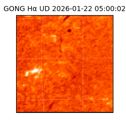 gong - 2026-01-22T05:00:02