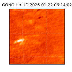 gong - 2026-01-22T06:14:02